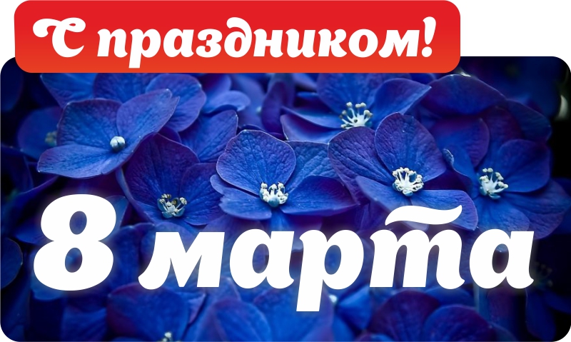 Милые дамы, с 8 марта! Милые дамы, с 8 марта!